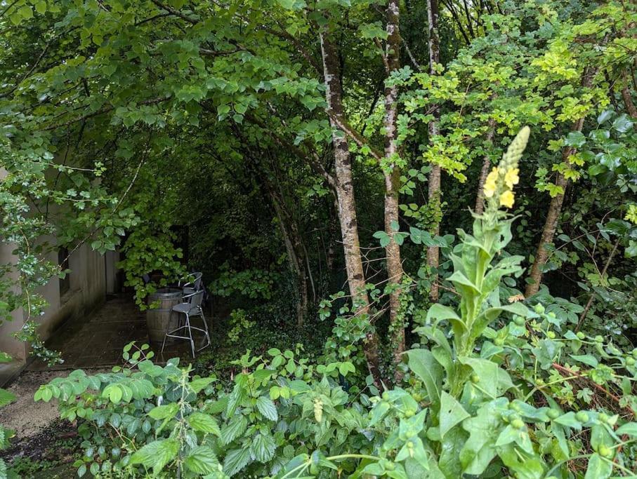 Gite Zen Dans Les Bois Blesignac Exterior photo